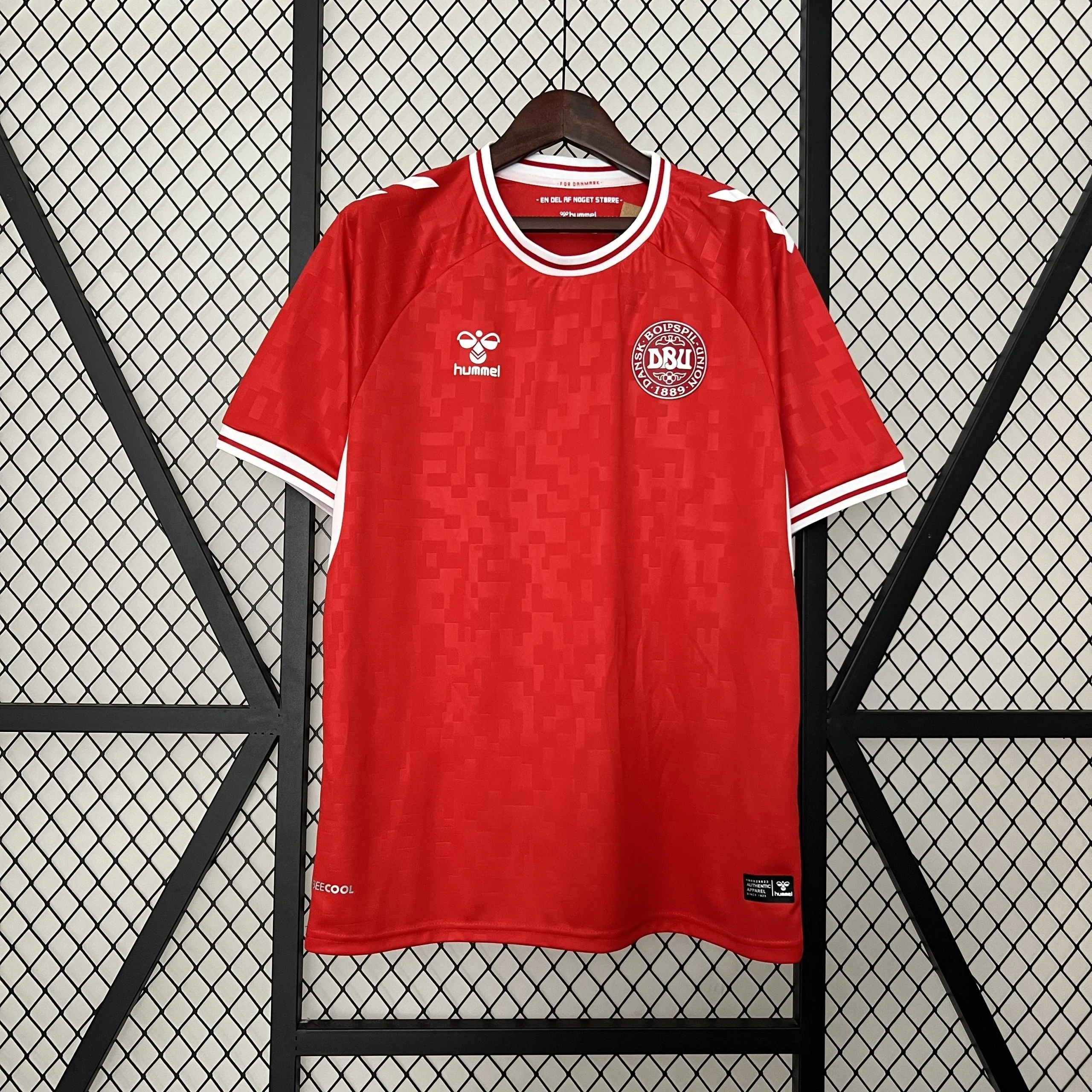 Maillot Danemark Domicile 24/25